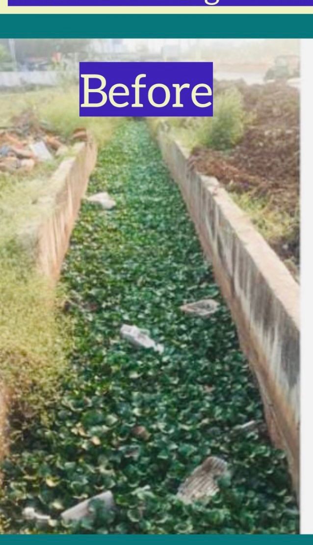 Drainage Issue before